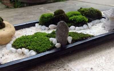 Como hacer un jardín Zen